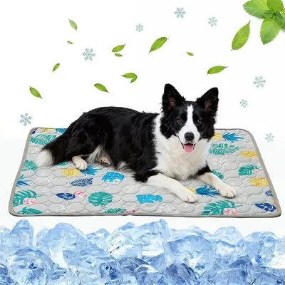 Produktbild von Kühlmatte für Hunde, selbstkühlend, waschbar, Sommer, Grau, 100x70cm