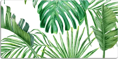 Produktbild von Schreibtischmatte Tischunterlage 100x50 cm Mauspad - Palm und Monster.