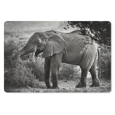 Produktbild von MuchoWow® Mauspad Mousepad Elefant - Tiere - Bäume - Schwarz - Weiß 27x18 cm - Mousepads - Maus Mat - Pad - Mausunterlage - Büroartikel - Desk Matten