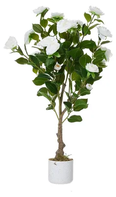 Immagine prodotto di Albero di camelia artificiale - Set da 2 pezzi - Altezza 85 cm - Per interni - Plastica - Verde oliva