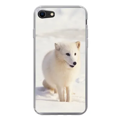 Produktbild von MuchoWow® Handyhülle Schutzhülle Hülle für iPhone 7 Fuchs - Schnee - Weiß Silikon Softcase Handy Hülle - Kartenhalter