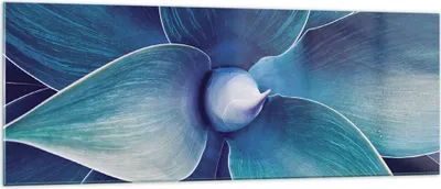 Produktbild von Bilder auf glas - Einteilig - Agave Blau Blume - 140x50cm - Glasbilder - Wandbilder - Bilder - zum Aufhängen bereit - Wanddekoration aus Glas - Glas Bilder - Wandbild auf Glas - GAB140x50-4972