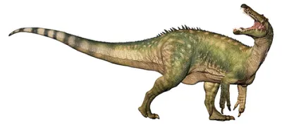 Image de Papo 55101 - Dinosaure Suchomimus