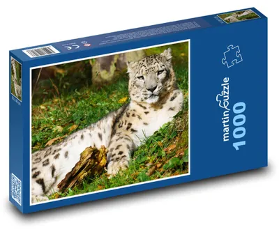 Obrázok produktu pre Puzzle 1000 Leopard v prírode - martinpuzzle