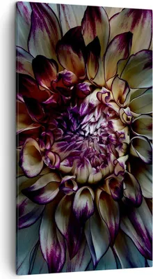 Produktbild von Bild auf Leinwand - Leinwandbild - Einteilig - Blätter Agave Blume - 45x80cm - Wand Bild - Wanddeko - Wandbilder - Leinwanddruck - Bilder - Wanddekoration - Leinwand bilder - Wandbild - PA45x80-5122