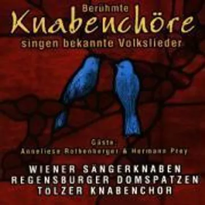 Produktbild von Volkslieder