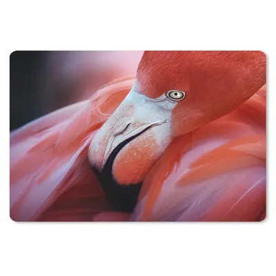 Produktbild von MuchoWow® Mauspad Mousepad Nahaufnahme eines Flamingos 27x18 cm - Mousepads - Maus Mat - Pad - Mausunterlage - Büroartikel - Desk Matten