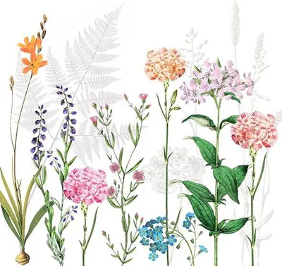 Produktbild von 20 Servietten Botanica - Zarte Blumenwiese 33x33cm