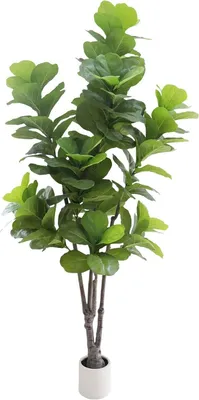 Imagen del producto de Ficus lyrata artificial, 213 cm - Planta artificial para interior y oficina - Ficus lyrata realista con maceta blanca