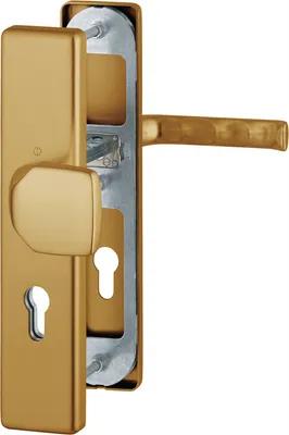 A close-up view of a gold-colored door handle set with visible keyholes and internal mechanism.