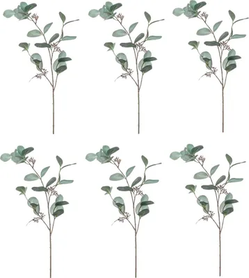 Produktbild von 6er Set künstliche Eucalyptus Zweige H. 73cm grün grau Emerald Blätterzweig