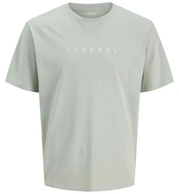 Produktbild von T-Shirt Jj Rebel 12271037-AQUAGRAY für Herren