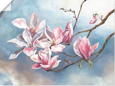 Produktbild von ARTland Poster Magnolienzweig Größe: 60x45 cm