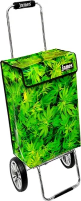 Obrázek produktu pro Nákupní vozík James - BUSHDOCTOR - robustní nákupní vozík s individuálním designem - jednobarevný: zelený v provedení: Chrome19