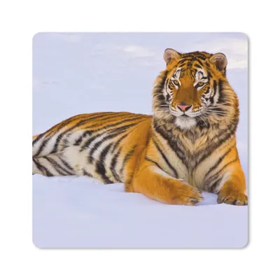 Produktbild von MuchoWow® Mauspad Mousepad Tiger - Schnee - Winter - Tiere 20x20 cm - Mousepads - Maus Mat - Pad - Mausunterlage - Desk Mat - Bureauartikeln