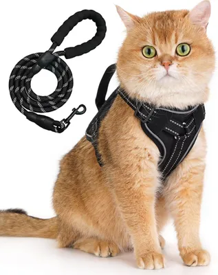 Image de Harnais pour chat avec laisse, taille M (6,5-9,5 kg), réglable, avec bandes réfléchissantes, idéal pour les promenades