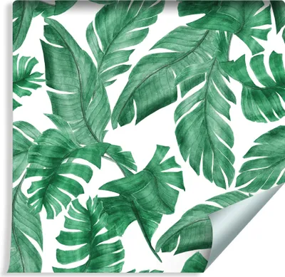 Immagine prodotto di rotolo da 10 m di VLIES WALLPAPER verde esotico foglie di banano NATURA XXL