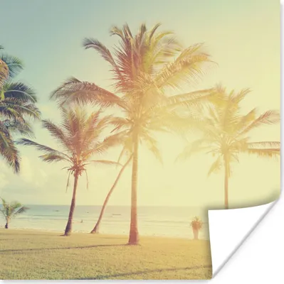 Produktbild von MuchoWow® Poster Meer - Palme - Sommer - Sonne - Strand 50x50 cm - Wohnzimmerdekoration