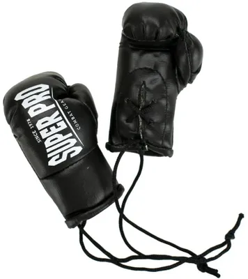 Produktbild von Super Pro Combat Gear Mini Boxhandschuhe