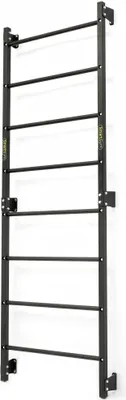 A black wall-mounted fitness ladder with multiple horizontal bars, shown against a white background.