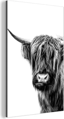 Obrázek produktu pro Nástěnná dekorace Kovový kovový obraz Wall Art 60x90cm Skotský horal na bílém pozadí - černobíle Muchowow Hliníkové obrazy