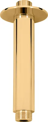 Obrázok produktu pre Držiak na sprchu, zlatý - kartáčovaný MD0311ZK, RAV Slezák