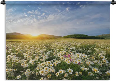 Produktbild von MuchoWow® Wandteppich Wandbehang Gänseblümchen - Sonne - Frühling 60x45 cm Tapisserie Dekoration Wandtuch - Das Schlafzimmer