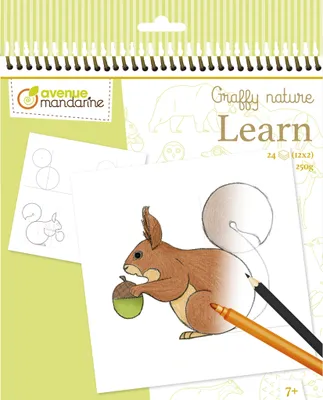Produktbild von Avenue Mandarine 5x Graffy Nature, Learn, Der Wald - Grün GY150C