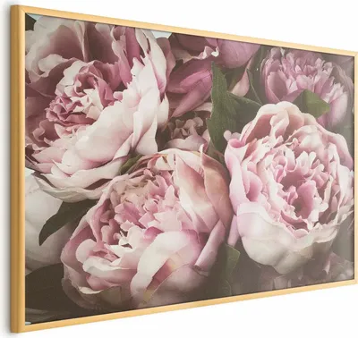 Produktbild von Posterpapier Poster - Pink Peonies 60x40 cm Blumen b-B-0351-ao-a