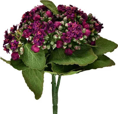 Produktbild von Flammendes Käthchen Kalanchoe künstlich lila 24cm Dekopflanze Kunstblume