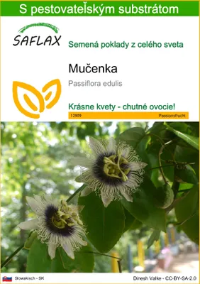 Obrázok produktu pre SAFLAX - mučenka - Passiflora edulis - 40 Semená - S pestovateľským substrátom bez klíčkov