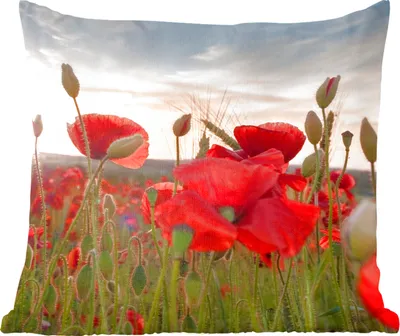 Produktbild von MuchoWow® Zierkissen Sofakissen Wohnzimmer Dekokissen 60x60 cm Sonnenuntergang hinter den schönen Mohnblumen - Sitzfläche - Foto Polster