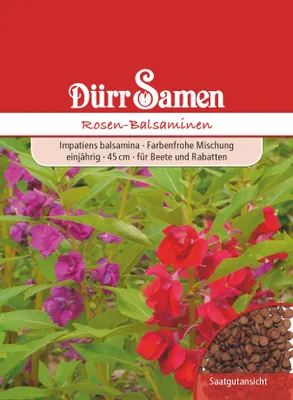 Produktbild von Rosen-Balsamine | Balsaminensamen von Dürr Samen