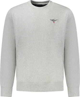 Produktbild von Graues Herren-Sweatshirt: Gefüttert, Rundhals, recycelte Baumwolle