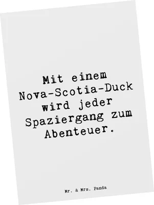 Produktbild von Mr. & Mrs. Panda Postkarte Spruch Nova Scotia Duck Abenteuer - Weiß - Geschenk, Spaziergang, Ansichtskarten, Hunderasse, bildkarte, intelligenter Hund, Hundeliebhaber