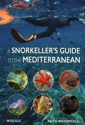 Produktbild von A Snorkeller's Guide to the Mediterranean