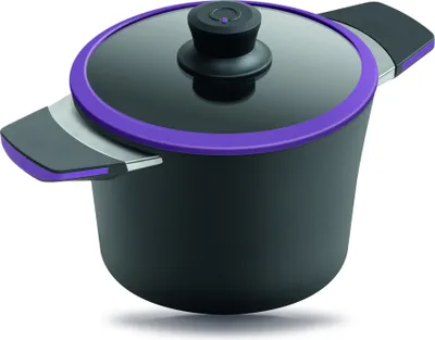 Obrázek produktu pro Hrnec Gastrolux Squalit sklokeramika včetně poklice - 2,5 l - 20 cm - fialový 30250V