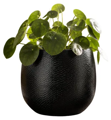 Produktbild von Mica Decorations Pflanzentopf - Keramik - schwarz glanzend / gerippt - D17 x H18 cm - Blumentopf Por