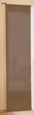 Produktbild von Preisgünstiger Flächenvorhang Schiebegardine, transparent, unifarben, mit Zubehör, 245x60, Nougat, 85589