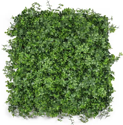 Obrázek produktu pro Umělá zelená stěna G21 Listo Berry, 50x50 cm