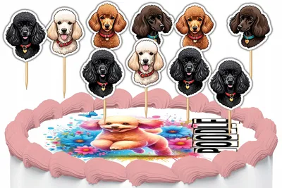 Image de Décorations à gâteau cake toppers - Chien Chiens Race PUDEL 10 pièces