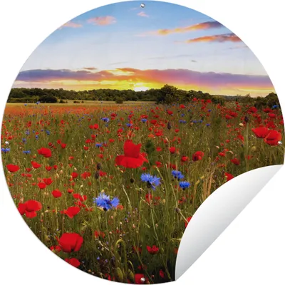 Produktbild von MuchoWow® Gartenposter Outdoor-Poster Rund Blumen - Sonnenuntergang - Farben Ø 60 cm Gartendeko Rundes Poster draußen