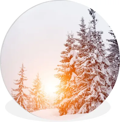 Produktbild von MuchoWow® Rundes Wandbild - Runde Bilder Sonne - Bäume - Schnee Ø 60 cm Kreis Wanddekoration Kunststoff - Wandkreis - Wandschmuck - Wand Kreis - Das Schlafzimmer - Die Bilder - Wandmalerei - Kunst für das Haus - das Plastik