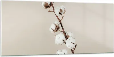 Produktbild von Bilder auf glas - Einteilig - Baumwolle Zweig Boho - 120x50cm - Glasbilder - Wandbilder - Bilder - zum Aufhängen bereit - Wanddekoration aus Glas - Glas Bilder - Wandbild auf Glas - GAB120x50-4730