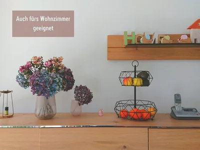 Obstkorb, Obstschale modernes Design Obstschale_30 x 30 x 43 cm