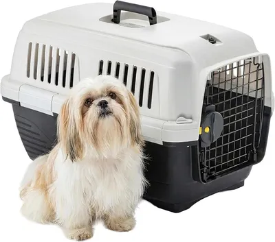 Produktbild von Reisetransportbox für Haustiere - Transportbox für Tiere - Sichere Beförderung - IATA- - 57 x 37 x 36 cm - Grau