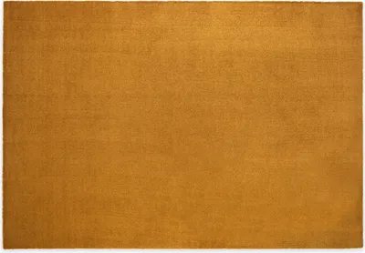 Produktbild von Waschbarer Teppich FEEL Gold, 200 x 290 cm