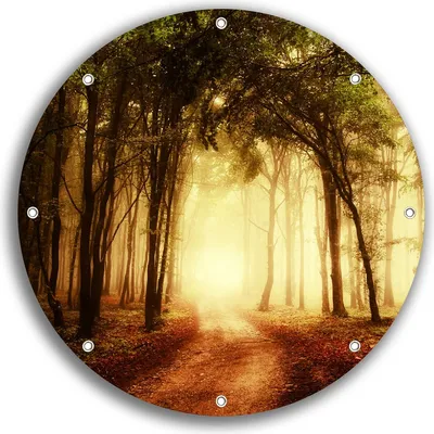 Produktbild von Wallario rundes Outdoor-Poster für Garten oder Balkon, Motiv Sonnenuntergang auf dem Waldweg, 30 cm Durchmesser