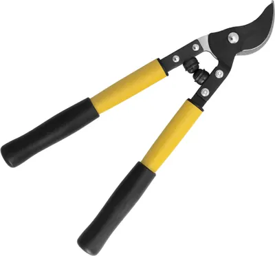 Image de Sécateur professionnel en acier 1172/40 cm. 2 mains