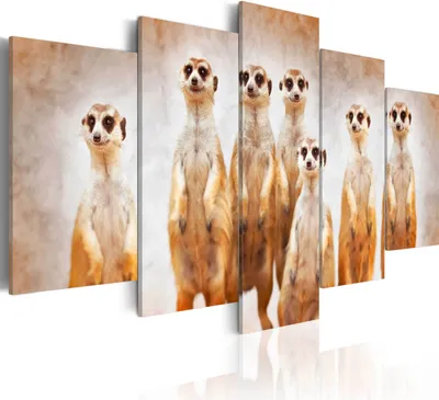 Image de Toiles 200 x 100 cm g-A-0087-b-p Toile intissé 5 pièces Impression artistique moderne Tableaux muraux XXL Décoration murale Design Tableau mural ANIMAL NATURE SURICATE